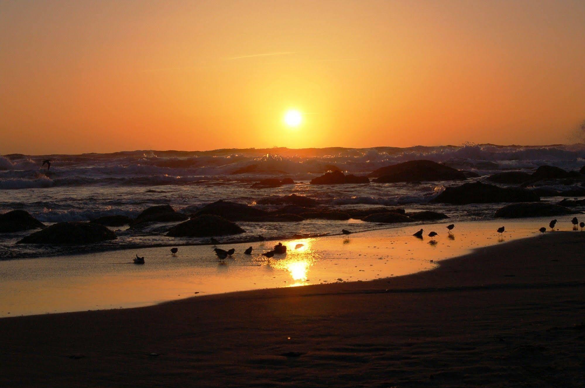 Beachfront Manor Hotel Lincoln City Esterno foto